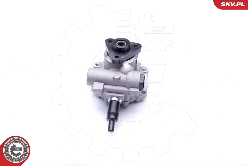 Hydraulic Pump, steering 10SKV249