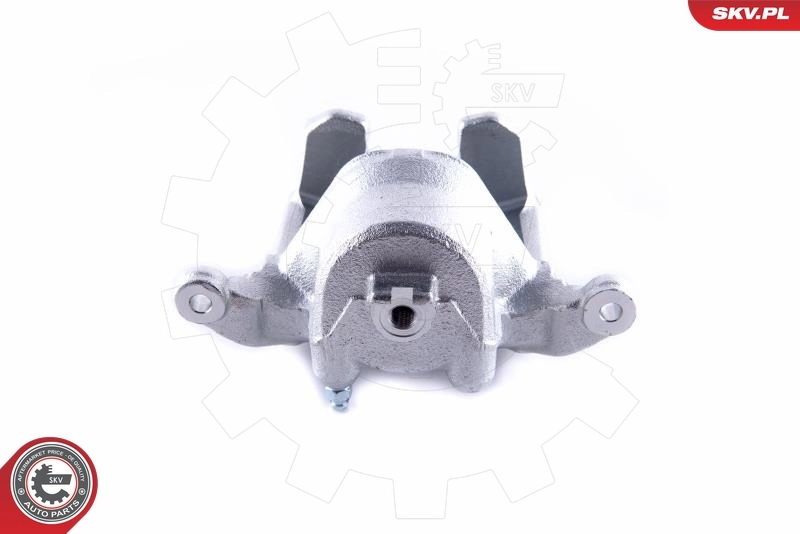 Brake Caliper 55SKV062