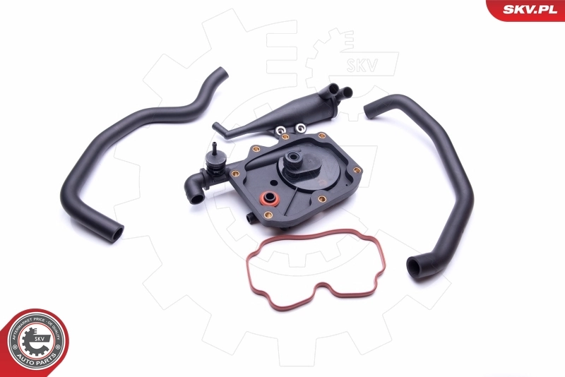 Repair Kit, crankcase ventilation 31SKV100