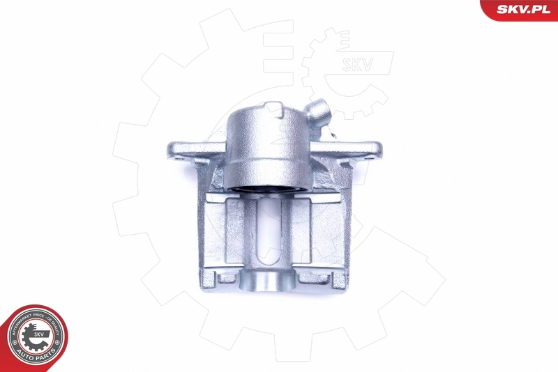 Brake Caliper 44SKV012
