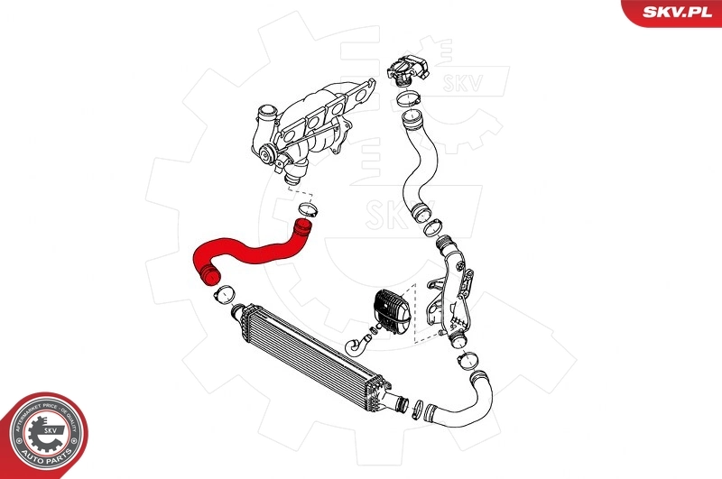 Charge Air Hose 43SKV116