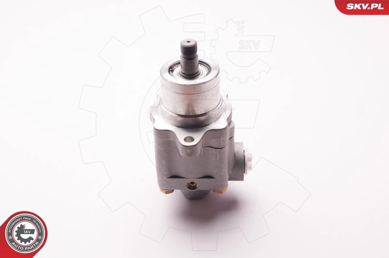 ESEN SKV 1SKV0015 Hydraulic Pump, steering