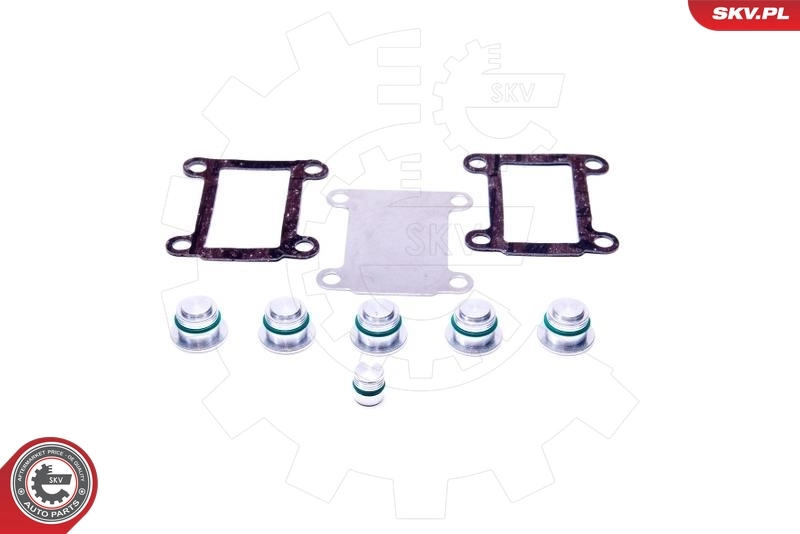 ESEN SKV 49SKV526 Repair Kit, intake manifold module