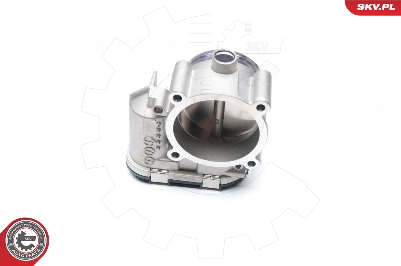 Throttle Body 12SKV052