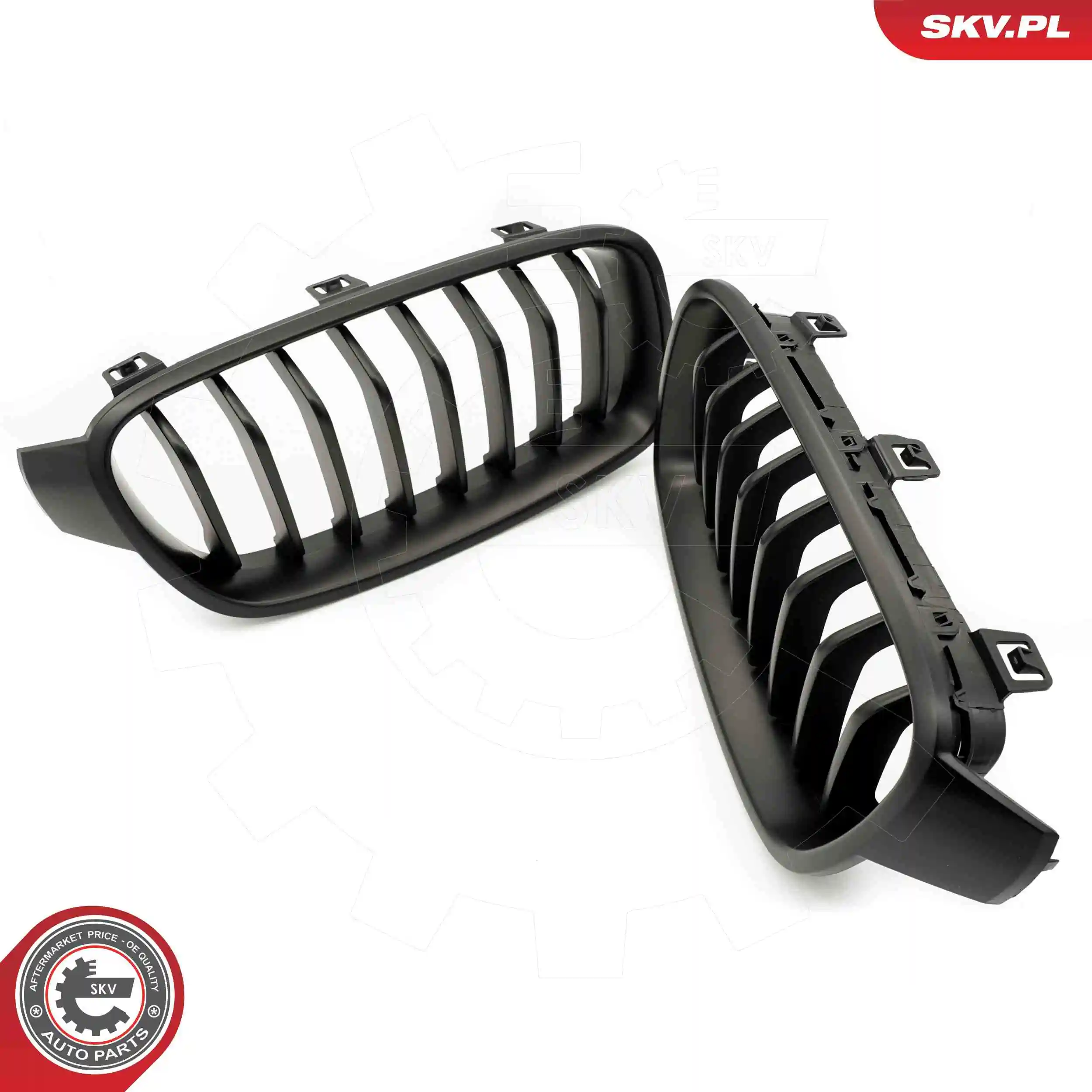 Radiator Grille 66SKV121