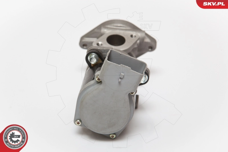 EGR Valve 14SKV073