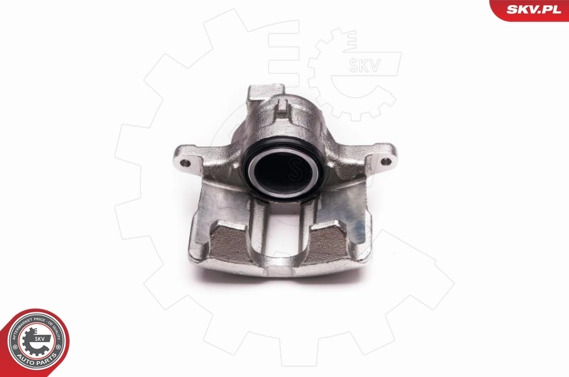 Brake Caliper 23SKV012