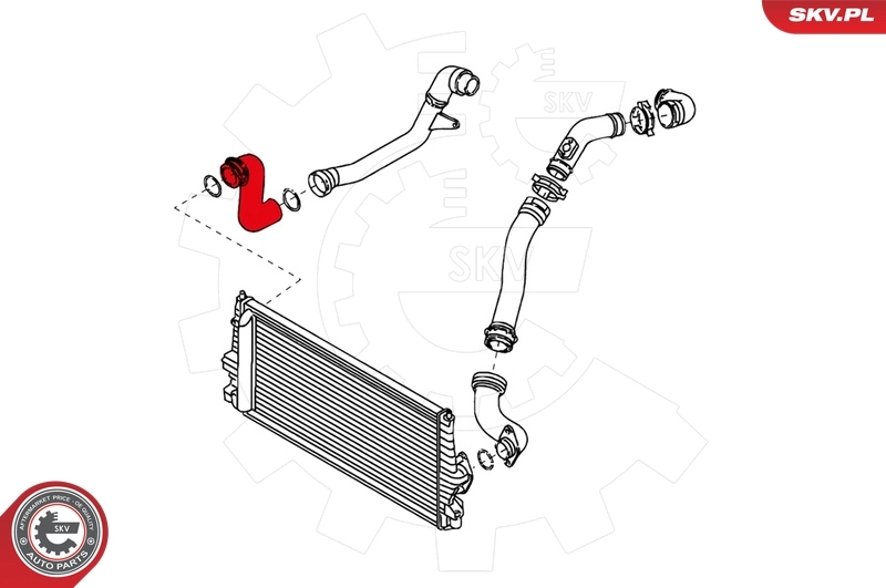 Charge Air Hose 24SKV101