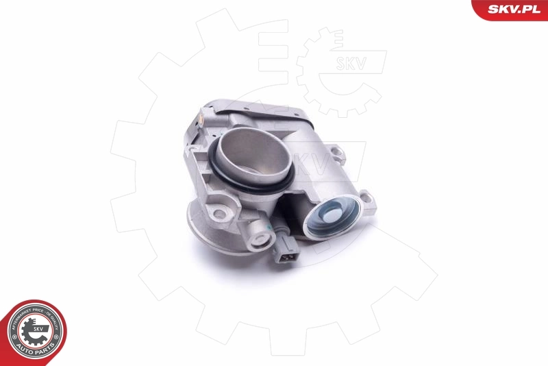 Throttle Body 12SKV102