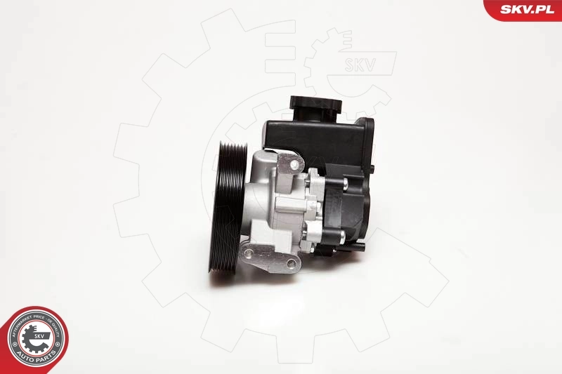 Hydraulic Pump, steering 10SKV029