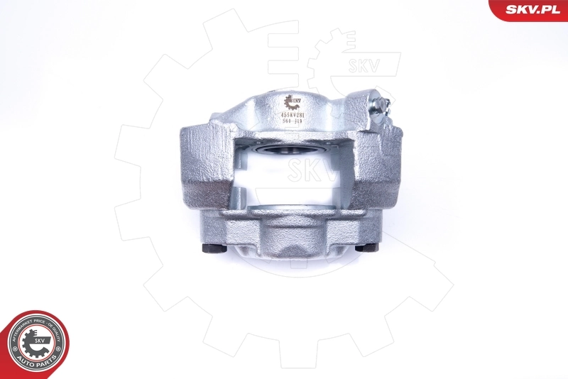 Brake Caliper 45SKV281
