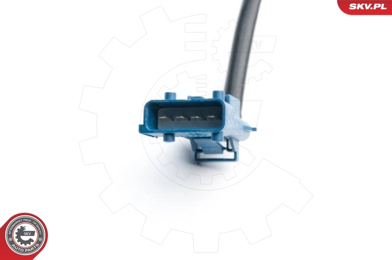 Oxygen Sensor 09SKV703