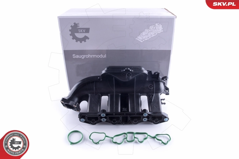 Intake Manifold Module 49SKV058