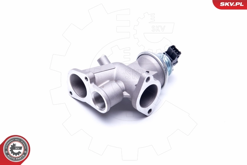 EGR Valve 14SKV181