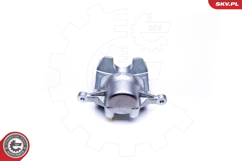 ESEN SKV 45SKV171 Brake Caliper