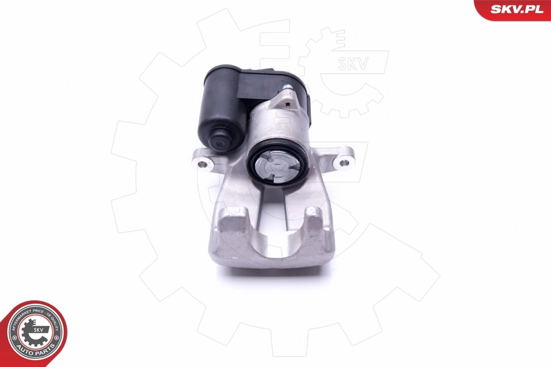 Brake Caliper 46SKV893