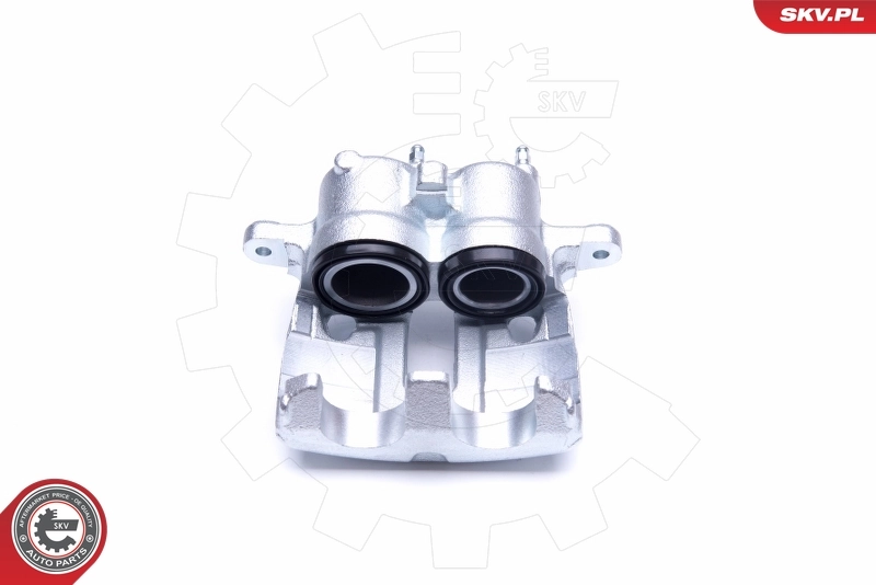 Brake Caliper 42SKV712