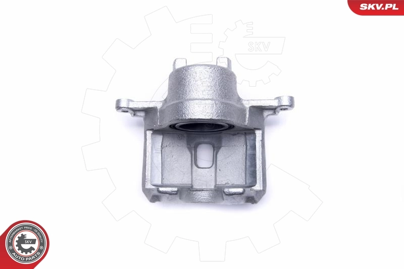 Brake Caliper 50SKV922