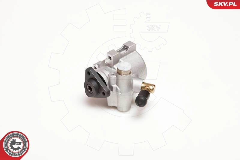 Hydraulic Pump, steering 10SKV053