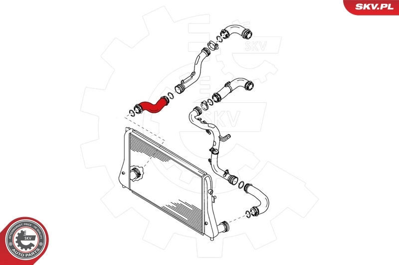 Charge Air Hose 24SKV049