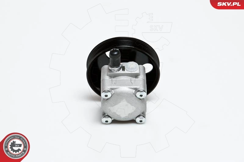 Hydraulic Pump, steering 10SKV027