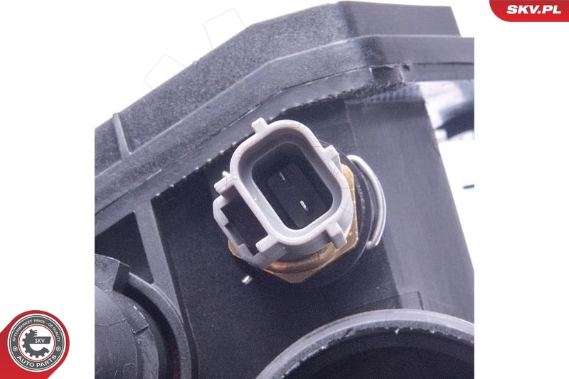 ESEN SKV 20SKV210 Thermostat, coolant