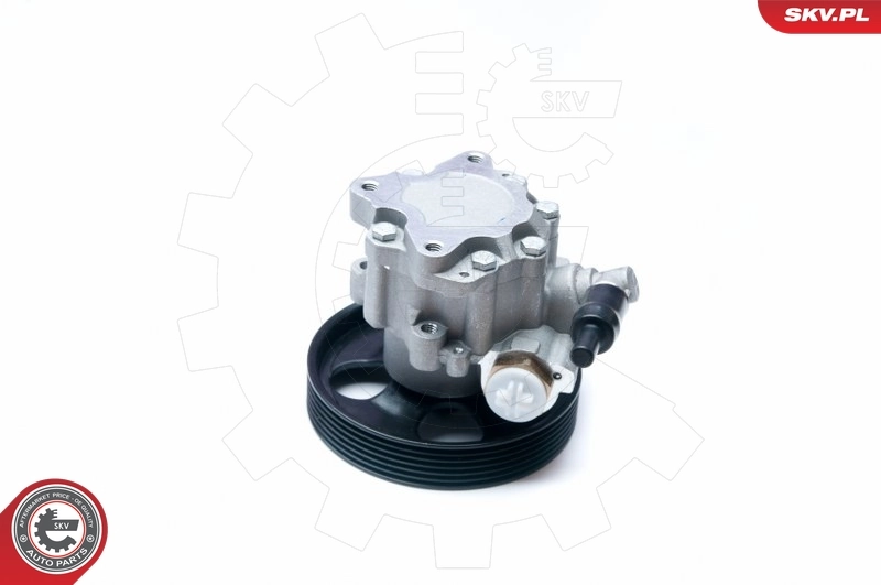 Hydraulic Pump, steering 10SKV073