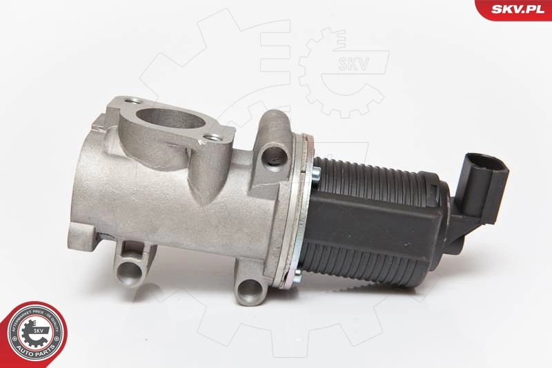 EGR Valve 14SKV055