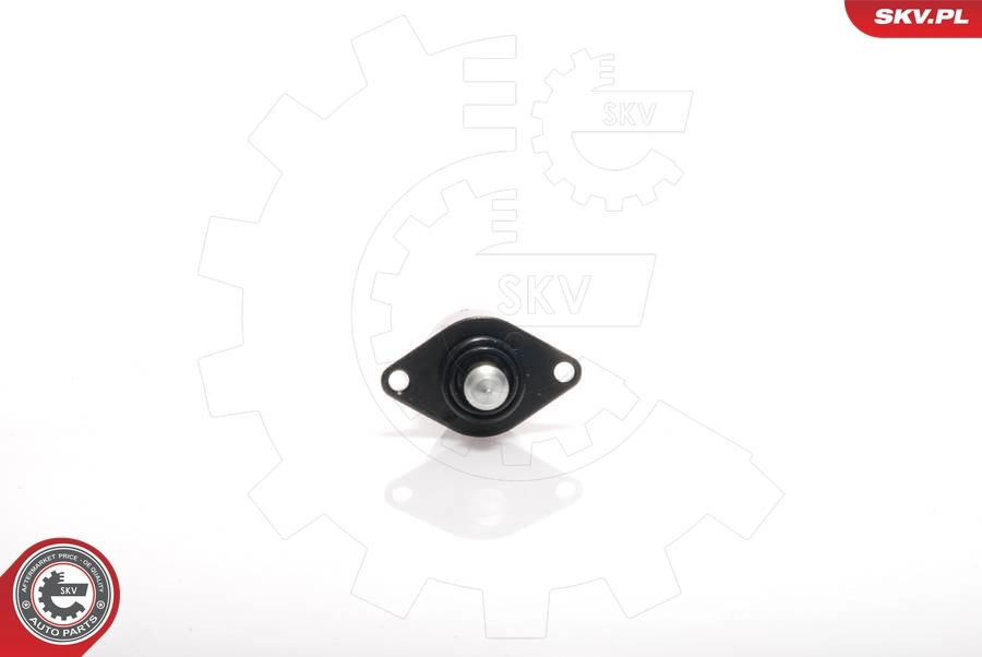 Idle Control Valve, air supply 08SKV008
