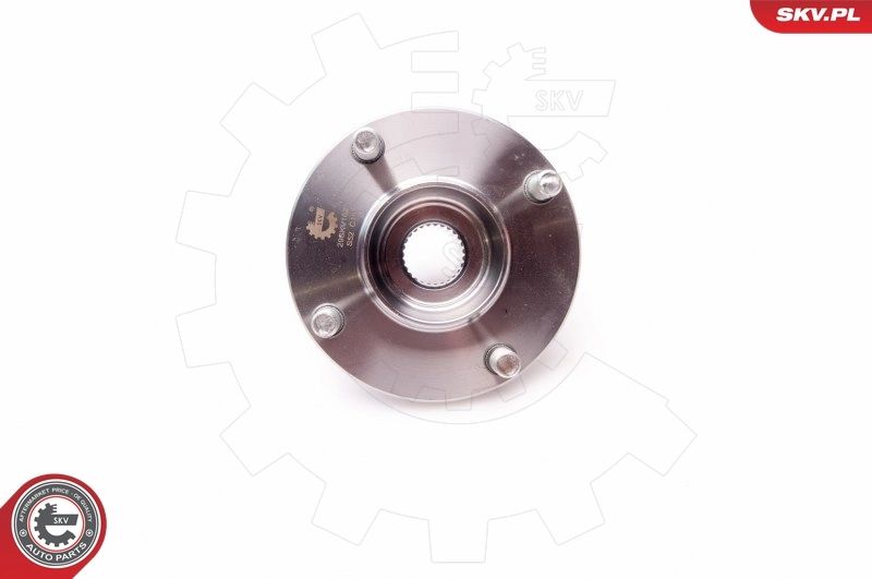 ESEN SKV 29SKV162 Wheel Bearing Kit