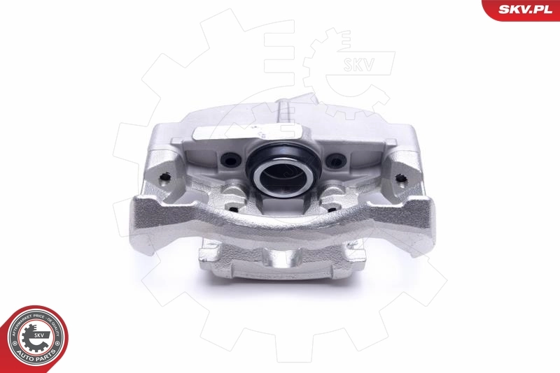 Brake Caliper 55SKV632