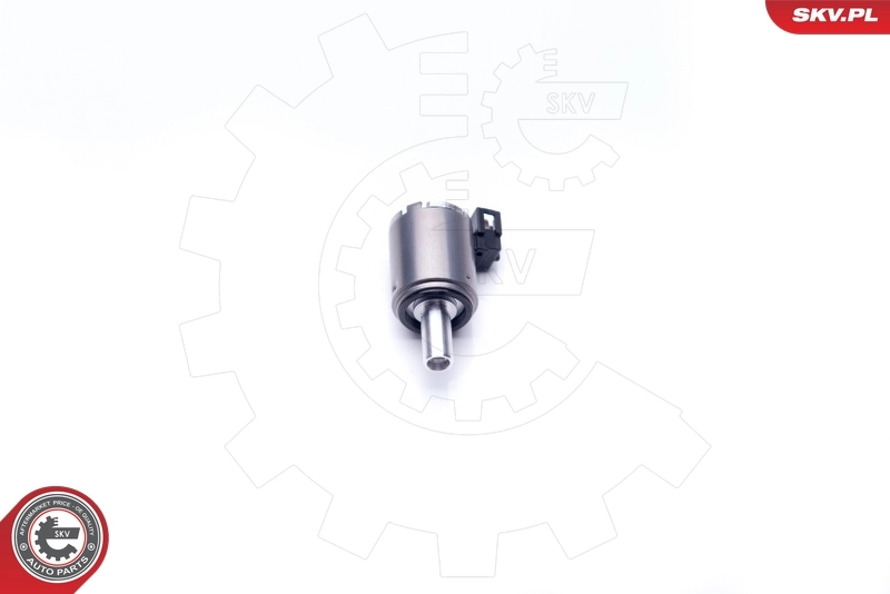 Control Valve, camshaft adjustment 39SKV027
