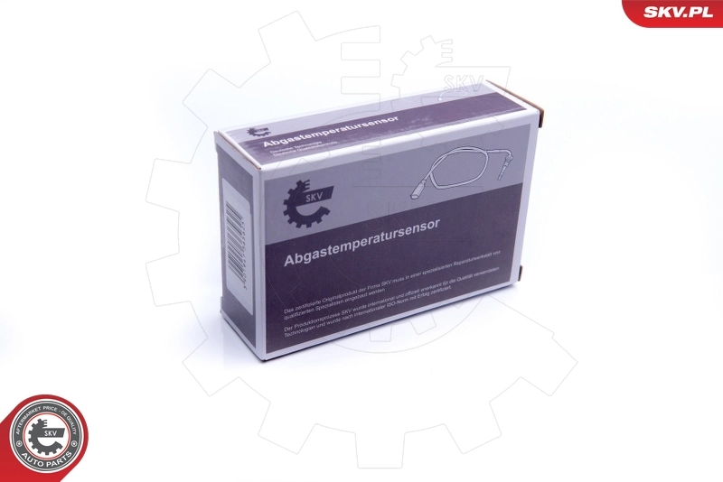 Sensor, exhaust gas temperature 30SKV010