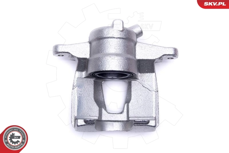 Brake Caliper 56SKV302