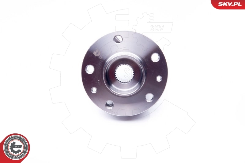 Wheel Bearing Kit 29SKV172