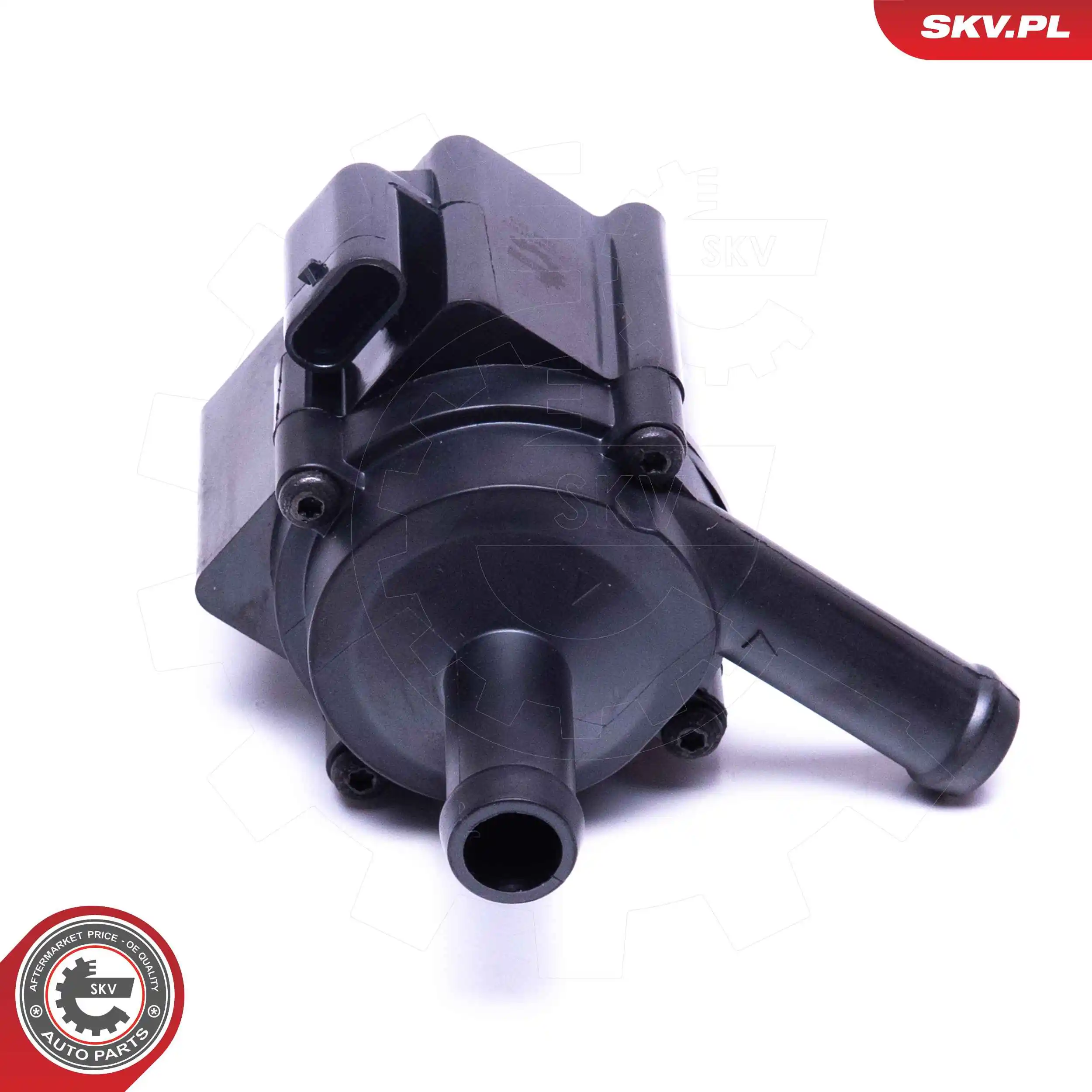 Auxiliary Water Pump (cooling water circuit) 22SKV067