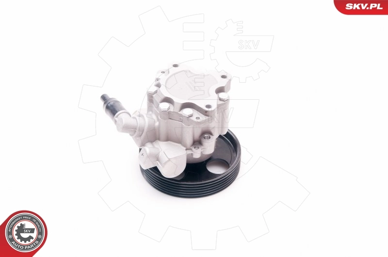 Hydraulic Pump, steering 10SKV197