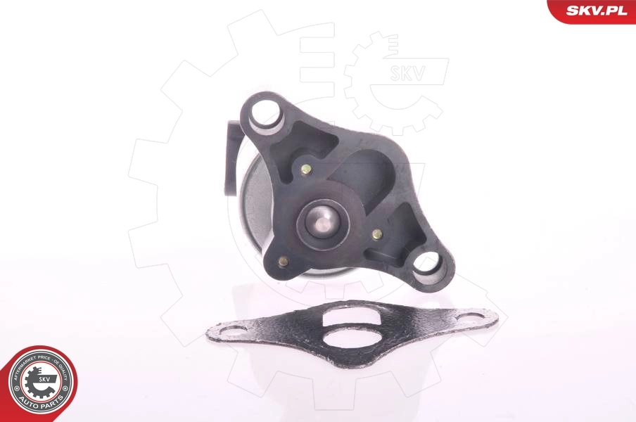 EGR Valve 14SKV004
