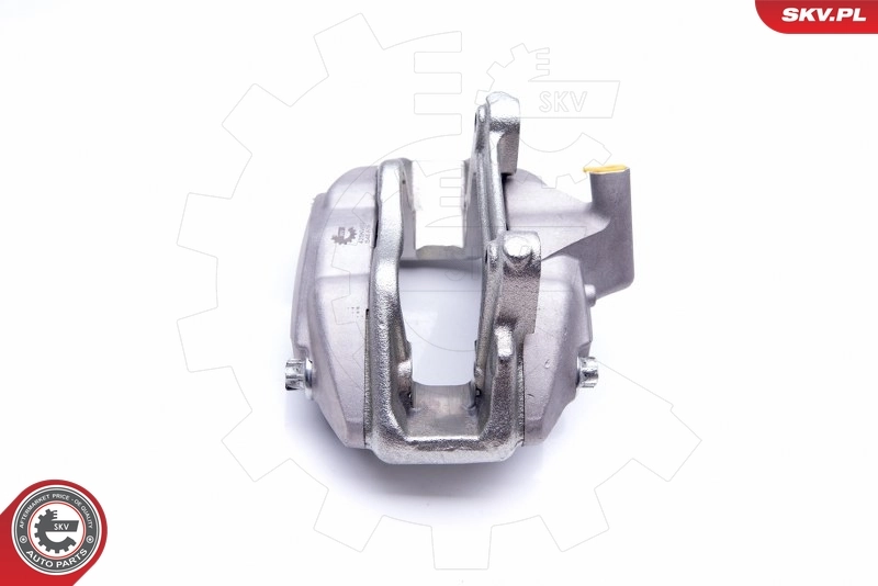 Brake Caliper 42SKV452