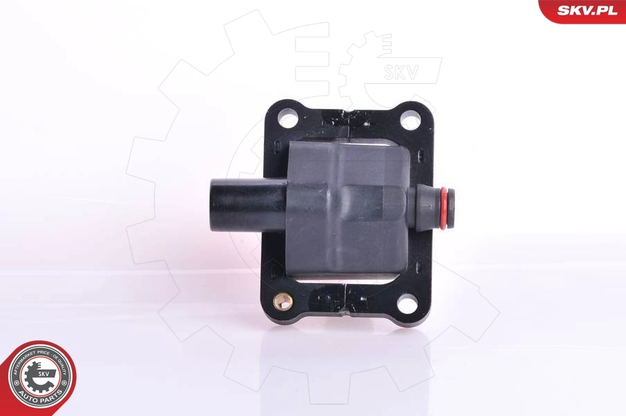Ignition Coil 03SKV017