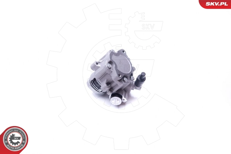 Hydraulic Pump, steering 10SKV282