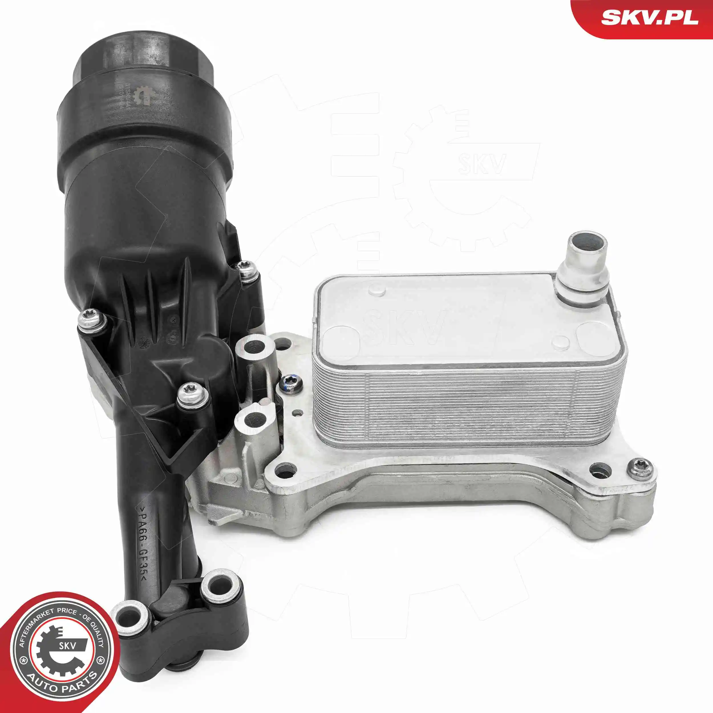 Oil Cooler, engine oil 31SKV441