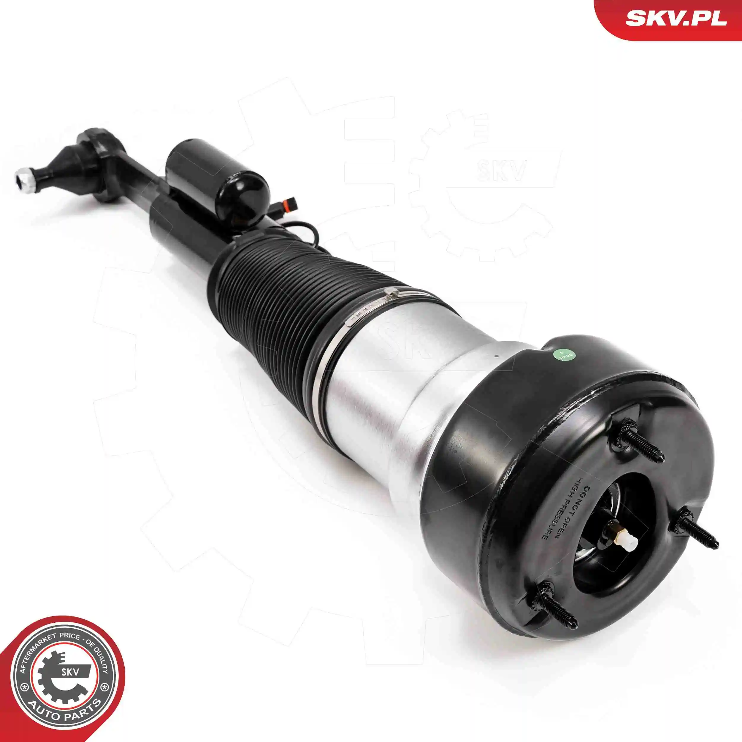 Air Suspension Strut 58SKV721