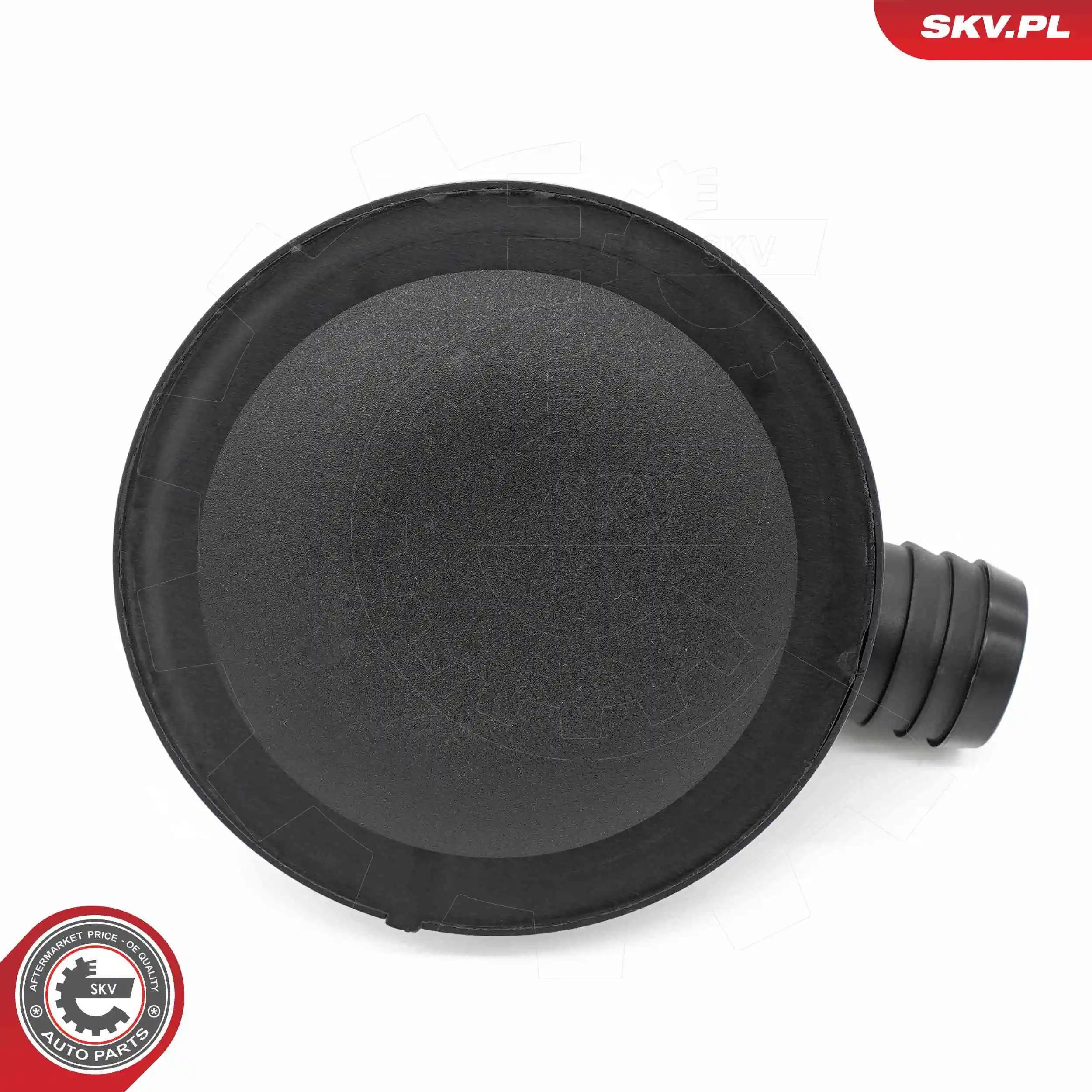 Oil Separator, crankcase ventilation 31SKV409