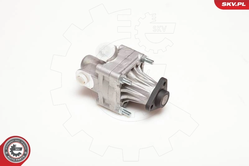 Hydraulic Pump, steering 10SKV005