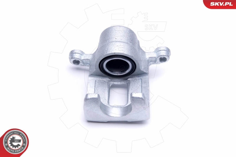 Brake Caliper 50SKV464