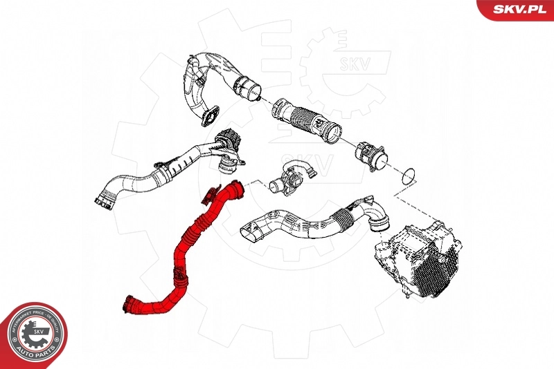 Charge Air Hose 43SKV320