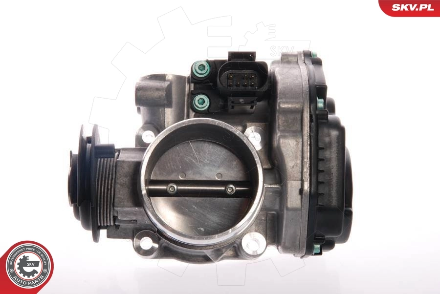 Throttle Body 12SKV013