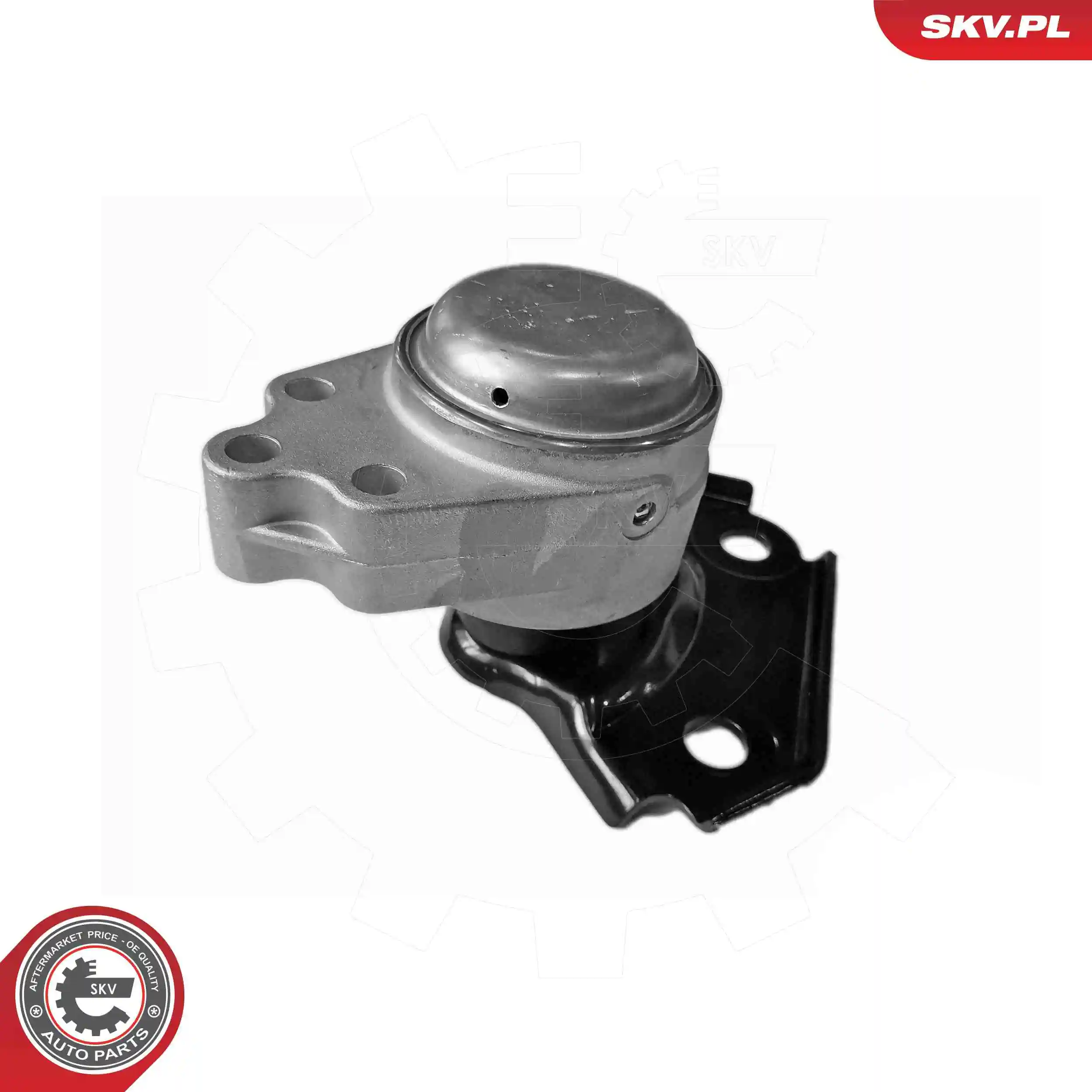 Mounting, engine 75SKV256