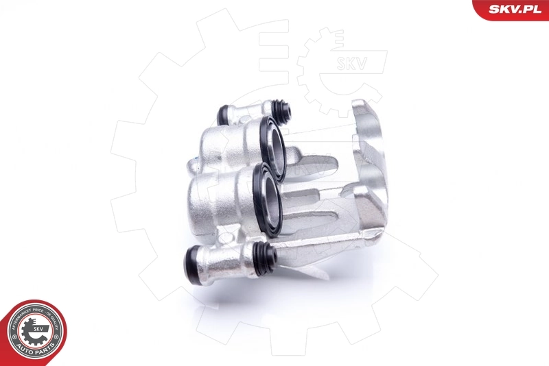 Brake Caliper 34SKV021